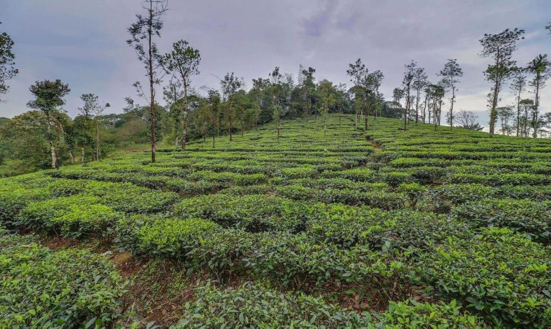 Moss Adams Inn Vagamon Luaran gambar