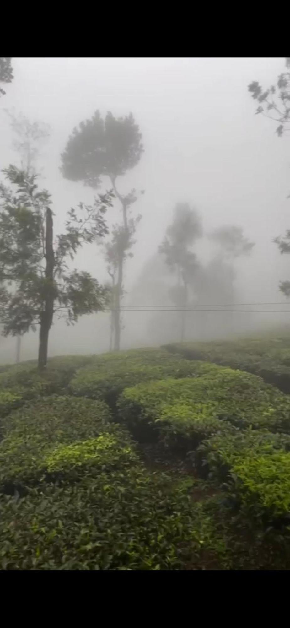 Moss Adams Inn Vagamon Luaran gambar